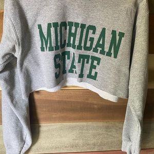 Michigan state top